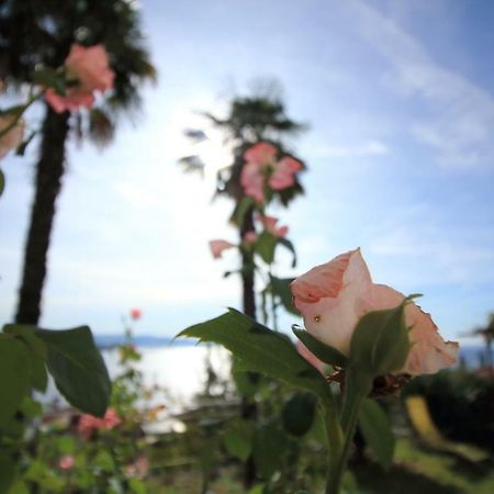 Tramontana Leeward - Cozy And Charming Apartment In Beautiful Volosko Opatija Eksteriør billede